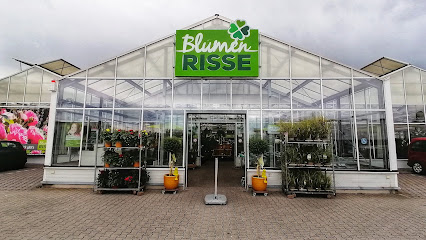 Blumen Risse Blumenmarkt Petersberg
