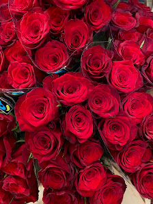 Akbulut Blumenhandel