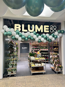 BLUME2000 Darmstadt