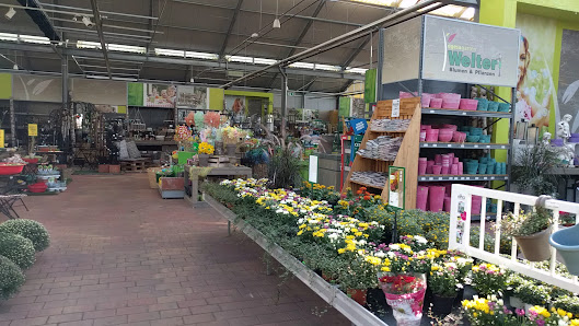 Welter Blumen und Pflanzen Pfungstadt, Gartencenter