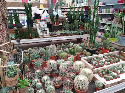 Welter Blumen und Pflanzen Pfungstadt, Gartencenter