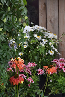 Blumen Lang