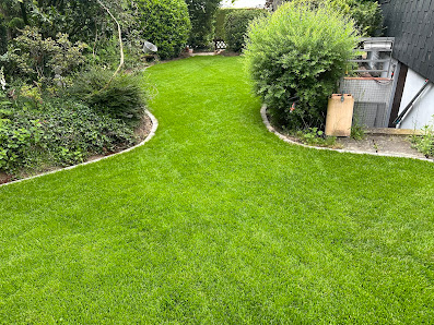 David Helmlinger Garten- und Landschaftsbau