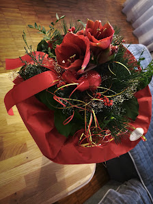 Blumen Schellhaas