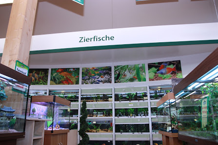 Dehner Garten-Center