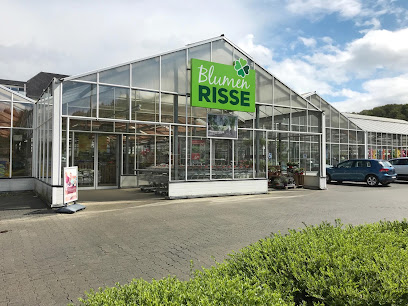 Blumen Risse Blumenmarkt Wetzlar