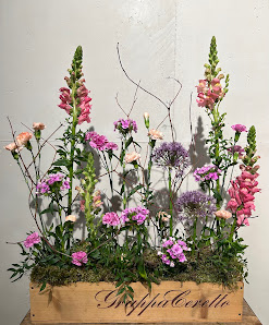 Tillandsia Floraldesign