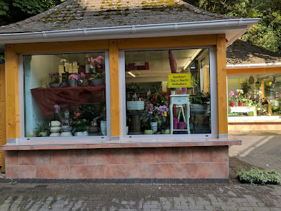 Blumen Dörfler