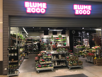 BLUME 2000