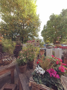 Blumen Galerie