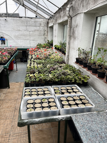 Ralf Paul Pelargonien (Para's)