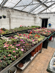 Ralf Paul Pelargonien (Para's)