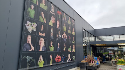 BLUMEN & GARTEN VOLZ GmbH Floristik & Garten- und Landschaftsbau