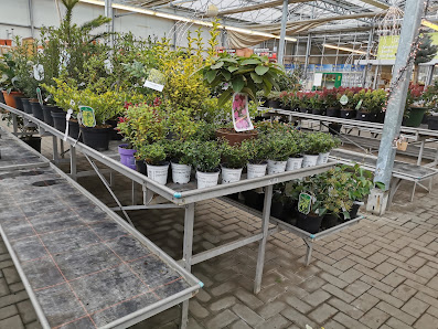 Marburger Gartencenter GCM GmbH
