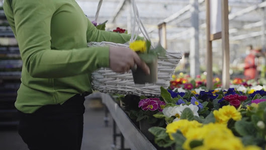 Marburger Gartencenter GCM GmbH