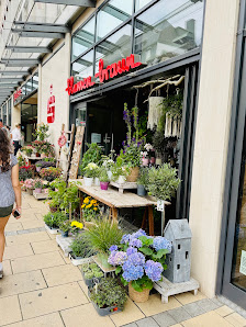 blumen braun