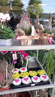 Blumen Edelweiß Marburg