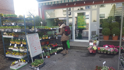 Blumenladen Holländer