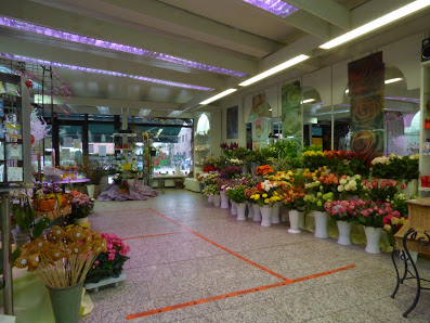 Das Blumenhaus