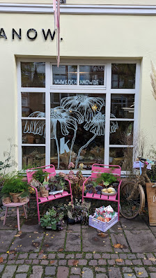 Atelier Anna Kochanow-Janssen