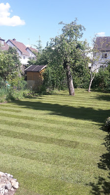 Cedar Gartenbau