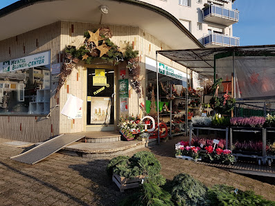 Maintal Blumen Center