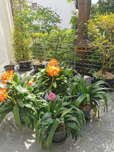 Gartengestaltung Maintal
