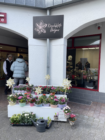 Blumenladen Kirschblüte Rodgau