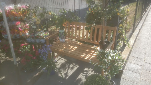 Blumen Ebeling