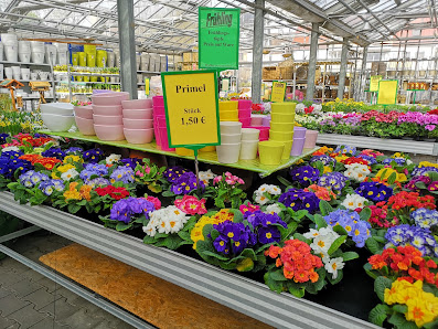 Welter Blumen und Pflanzen Langen, Gartencenter