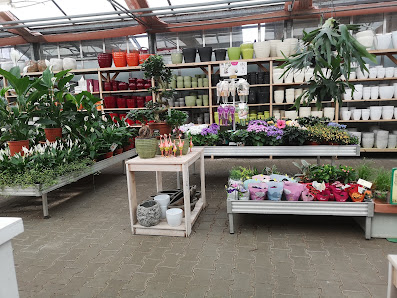 Welter Blumen und Pflanzen Langen, Gartencenter