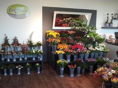 Blumen Edelweiß Bad Hersfeld