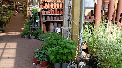 Gartencenter Meckelburg
