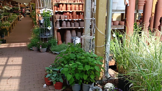 Gartencenter Meckelburg