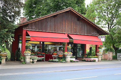 Blumen Gonder