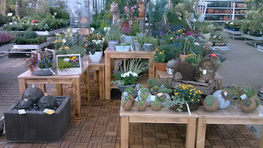 Dehner Garten-Center