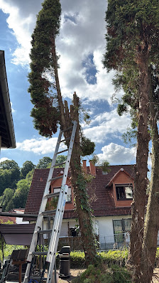 Dienstleistung für Gartenpflege Bensheim