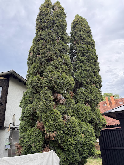 Dienstleistung für Gartenpflege Bensheim