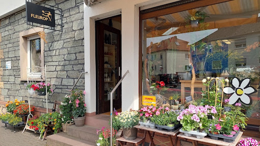 Blumen Hartmann