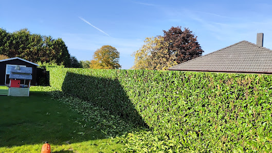 B&N Garten und Landschaftspflege
