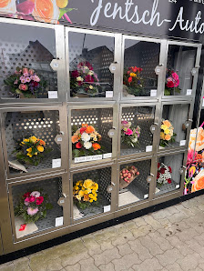 Blumen Jentsch