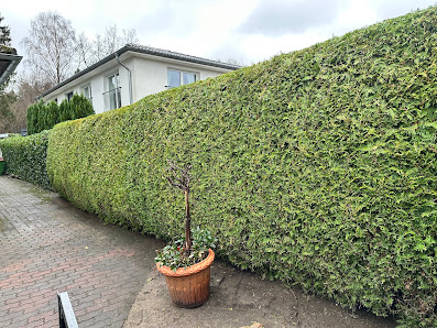 Gartenpflege im Alstertal