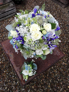 BLUMEN Blütengarten Sonja Stahl