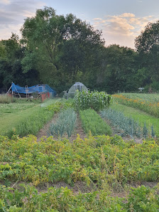 KraftFeld Gartengemüse