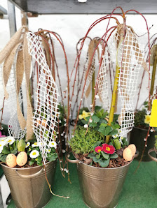 Blumen Habel vom Sonnenhof