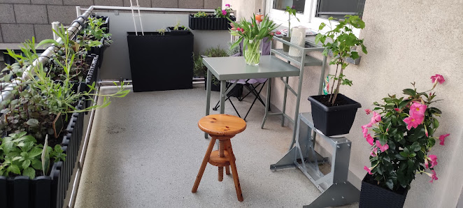Blumen Habel vom Sonnenhof