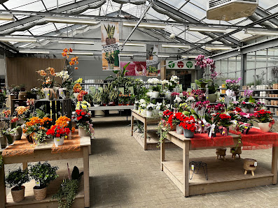 Garten-Center Grünwald Zoo & Co.