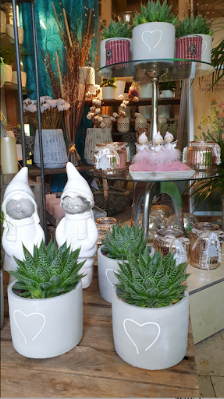 Blumen Schneider