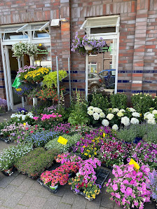 Annette's Blumenladen