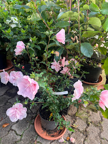 EINHEIT - Gartenbau